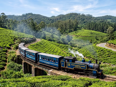 Nilgiris District